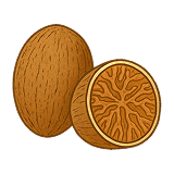 NUTMEG