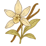 VANILLA